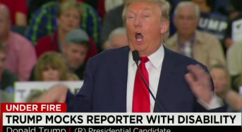Pure Trump  — Mock a Disabled Reporter, Double Down, Then Deny You Were Ever Mocking Anyone